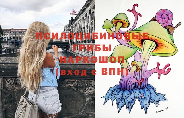 apvp Пролетарск