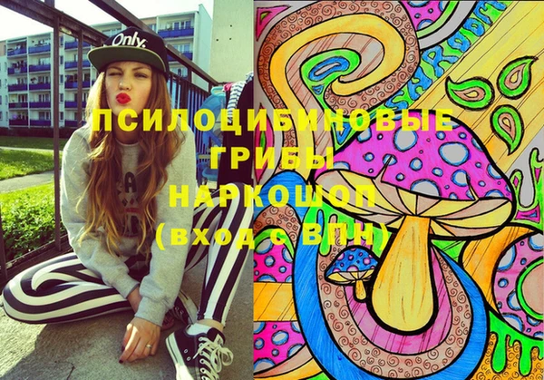 MDMA Premium VHQ Приозерск
