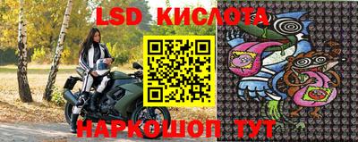 ГАЛЛЮЦИНОГЕННЫЕ ГРИБЫ Аргун