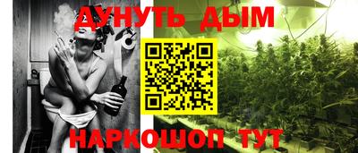ГАЛЛЮЦИНОГЕННЫЕ ГРИБЫ Аргун
