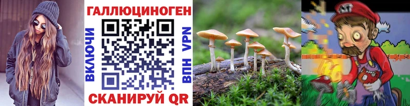 Псилоцибиновые грибы Psilocybine cubensis Бахчисарай