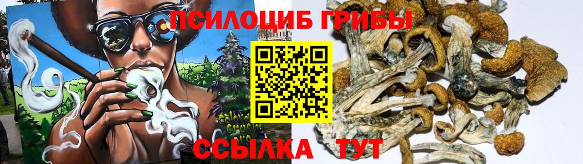 Галлюциногенные грибы Magic Shrooms  цены   Бахчисарай 